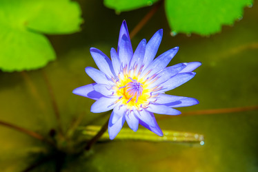 Similar image 13066094