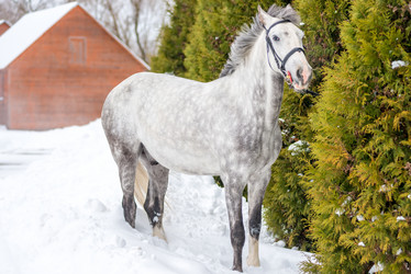 Similar image 13066115