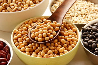 Similar image 13095570