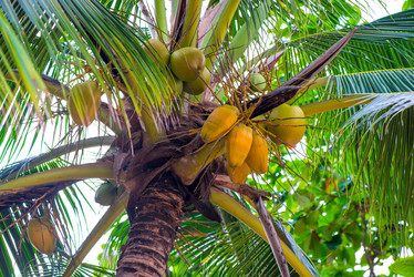 Similar image 13066064