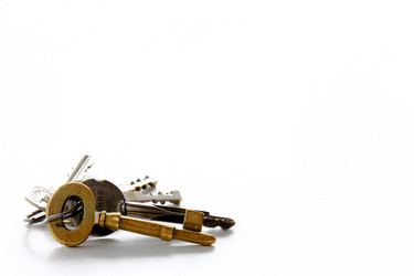 Similar image 13074621