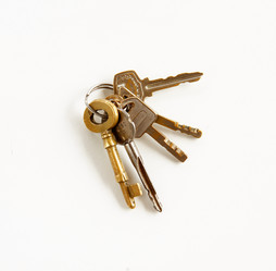 Similar image 13074623