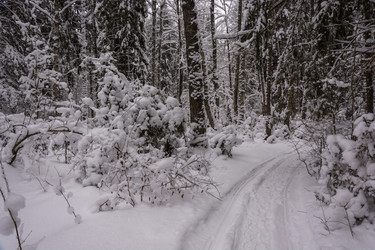 Similar image 13097214