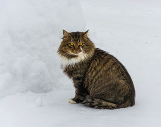 Similar image 13097226