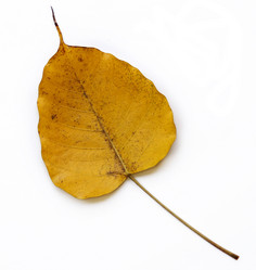 Similar image 13085843