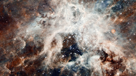 Similar image 13076995