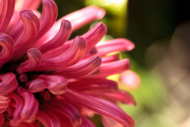 Similar image 13105907