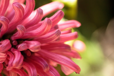 Similar image 13105910