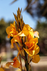 Similar image 13105925