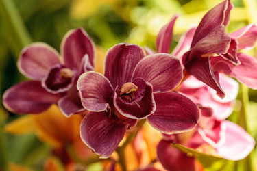 Similar image 13105983