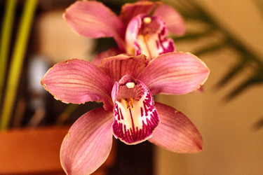 Similar image 13105984