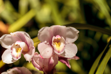 Similar image 13105985