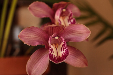 Similar image 13105986