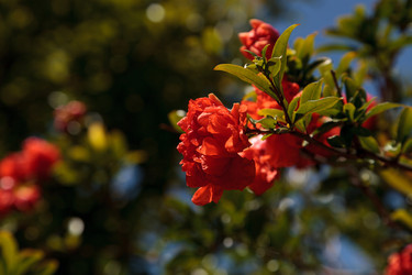 Similar image 13105960