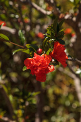 Similar image 13105961