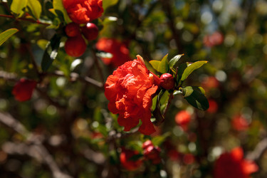 Similar image 13105962