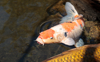 Similar image 13106004