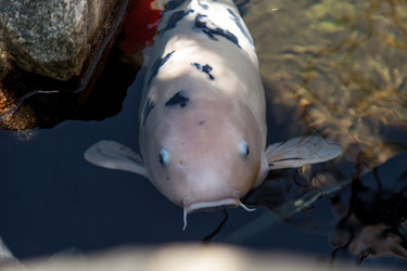 Similar image 13106020