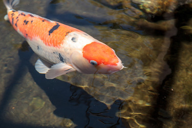 Similar image 13106021