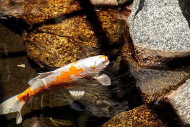 Similar image 13106024