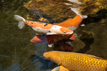 Similar image 13106027