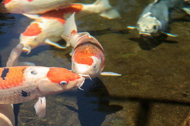 Similar image 13106067