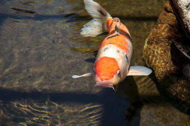 Similar image 13106070