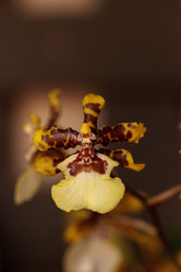 Similar image 13106079