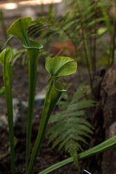 Similar image 13106103