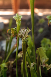 Similar image 13106104