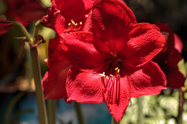 Similar image 13106105