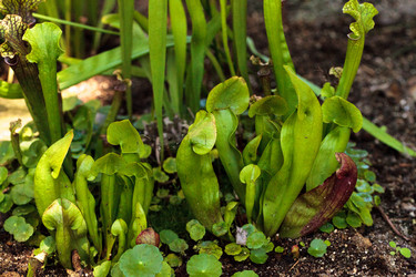 Similar image 13106107