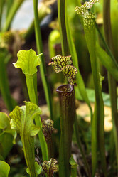 Similar image 13106108