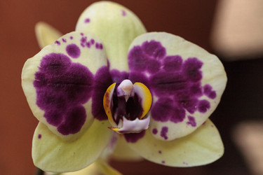 Similar image 13106112