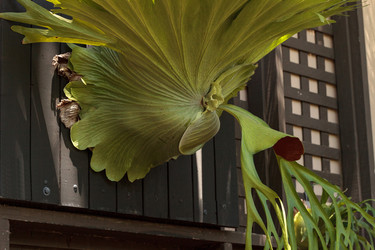 Similar image 13106114