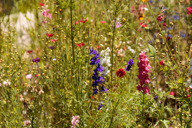 Similar image 13106118