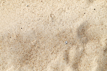 Similar image 13078306