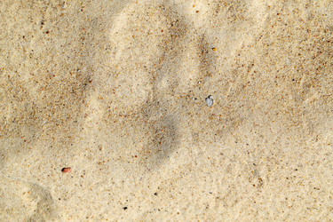 Similar image 13078307