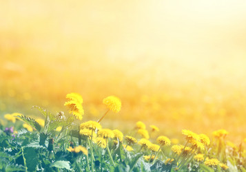 Similar image 13078313