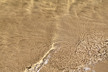 Similar image 13078302