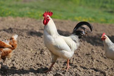 Similar image 13078322