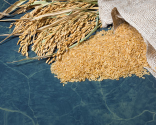 Similar image 13074301