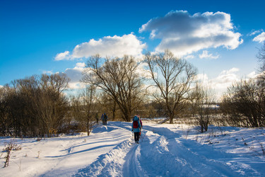 Similar image 13097267