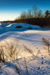 Similar image 13097268