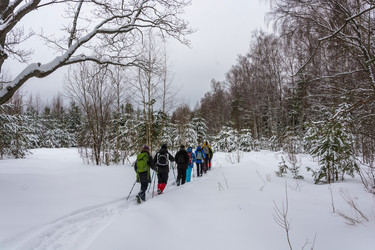 Similar image 13097250