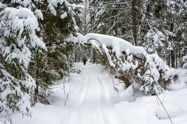 Similar image 13097251