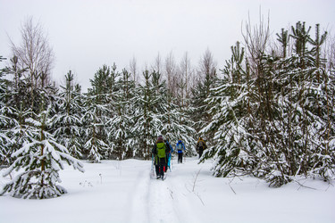 Similar image 13097252