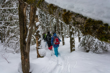 Similar image 13097253