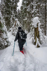 Similar image 13097254