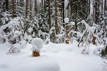 Similar image 13097270